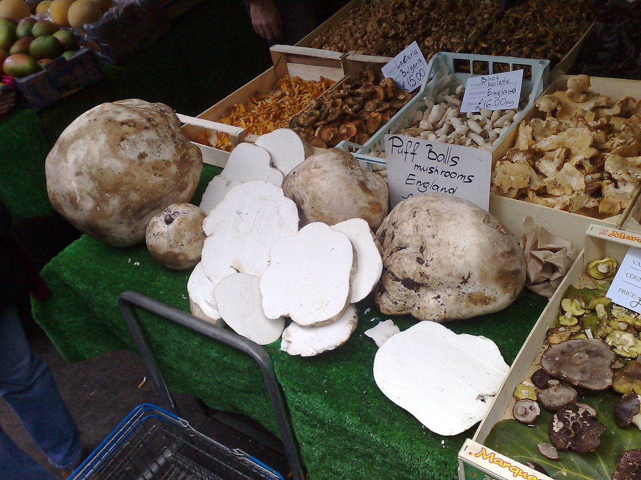 Дождевик гигантский. Лангерманния гигантская (Calvatia gigantea) - фото 4