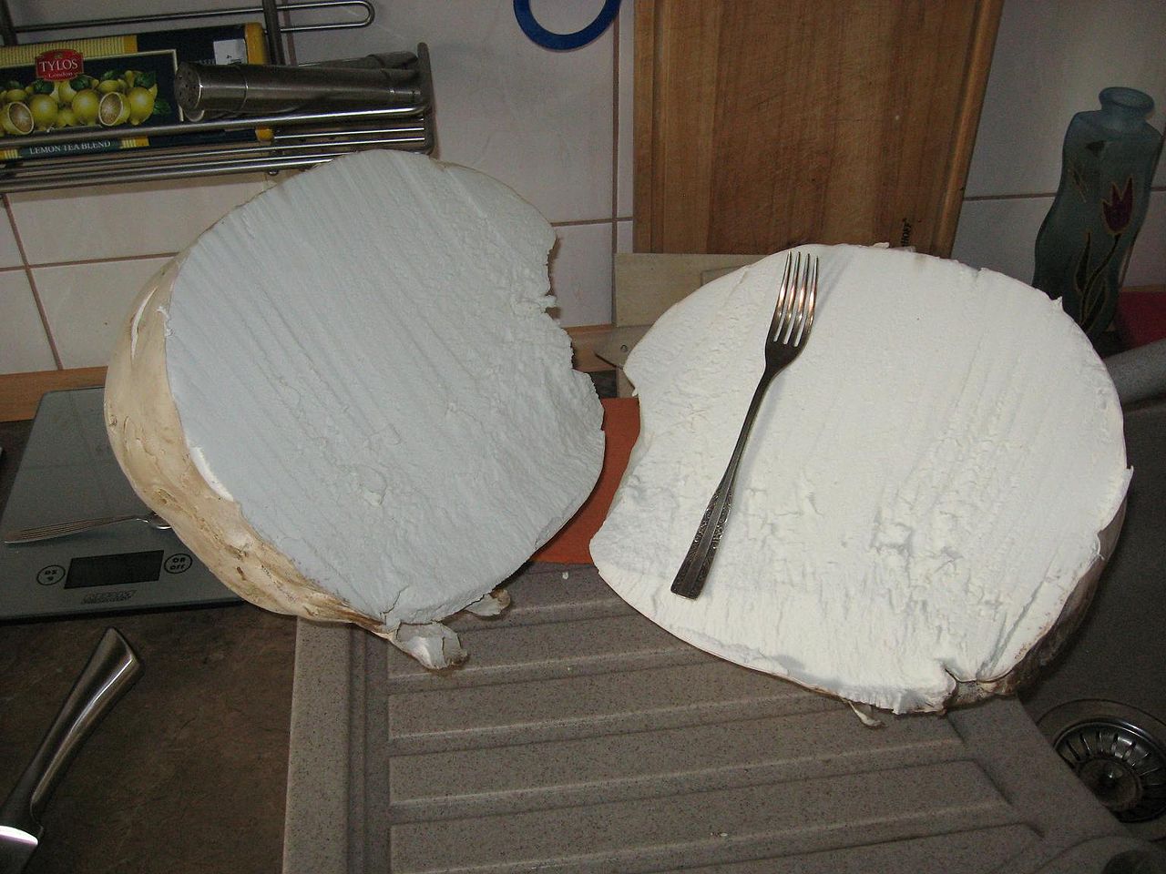 Дождевик гигантский. Лангерманния гигантская (Calvatia gigantea) - фото 6